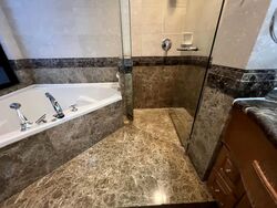 The Sterling (D21), Condominium #567746301